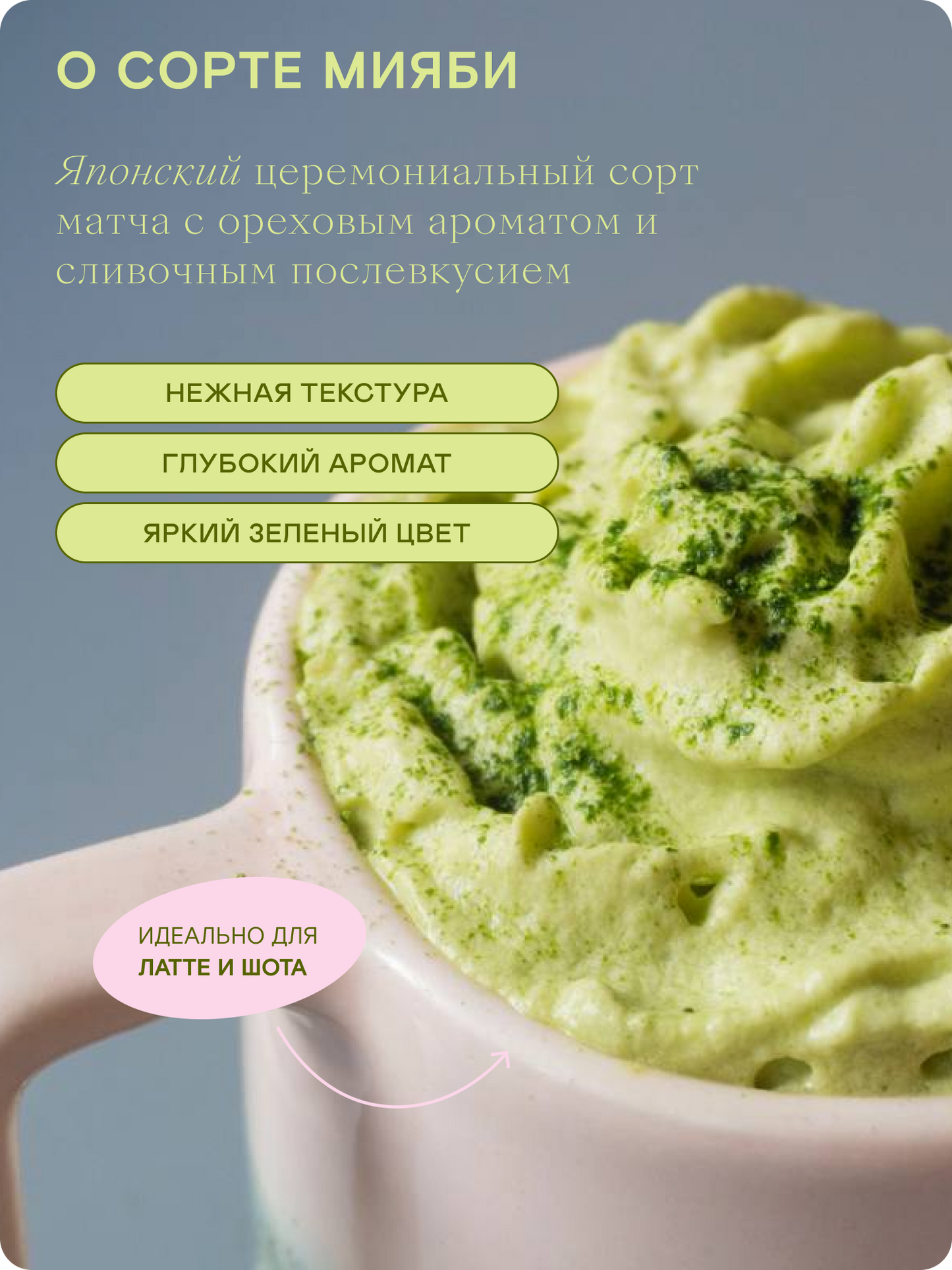 Церемониальный матча чай, Мияби — Япония, Удзи