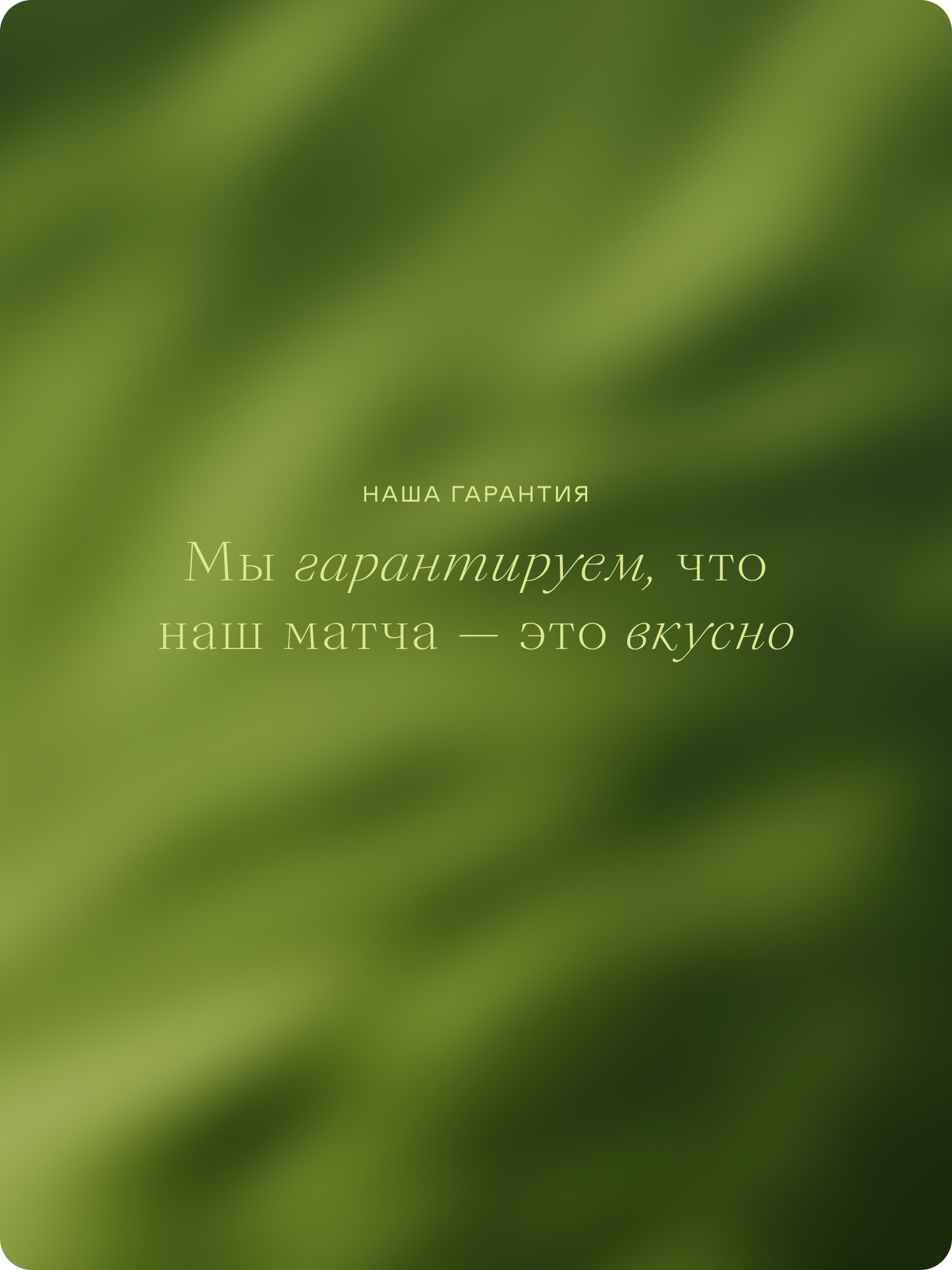 Церемониальный матча чай, Мияби-но-Широ, 250 г — Япония, Удзи