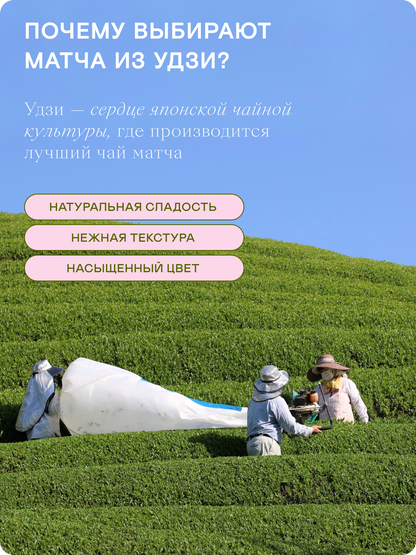 Стандартный матча чай, Риндо, 250 г — Япония, Удзи